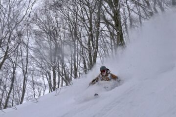 Sci Giappone Powder Hokkaido Snowboard Freeride