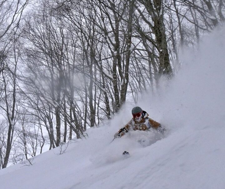 Sci Giappone Powder Hokkaido Snowboard Freeride