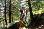 Viaggi Sport Mountain Bike Alpi Freeride Boschi Natural Trail