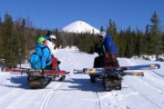 Viaggi Sport Viaggio Sci e Snowboard in Canada Sci e Snowboard con Motoslitte