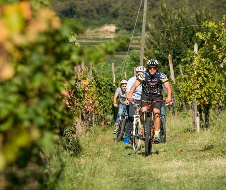 Viaggi Sport Mountain Bike e Cicloturismo in Franciacorta