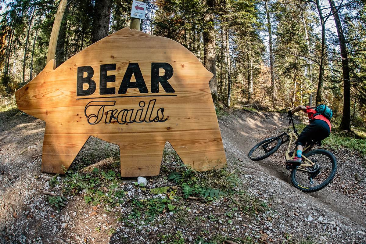 viaggi sport dolomiti paganella bike enduro mtb bear trails foto credit Alex Luise