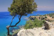 cipro vacanza attiva