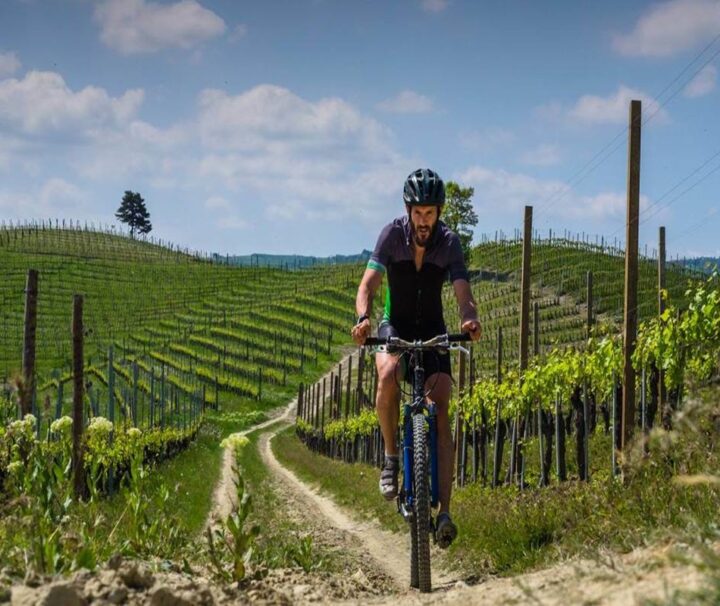 bici in piemonte cicloturismo langhe barolo asti alba food wine tour guida viaggio vacanza bici