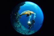 vacanza sub diving egitto sharm el sheikh dive