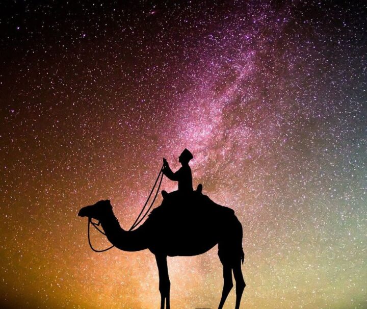 Viaggio Arabia Saudita Tour Gruppo Guida Italiana Storia Cultura