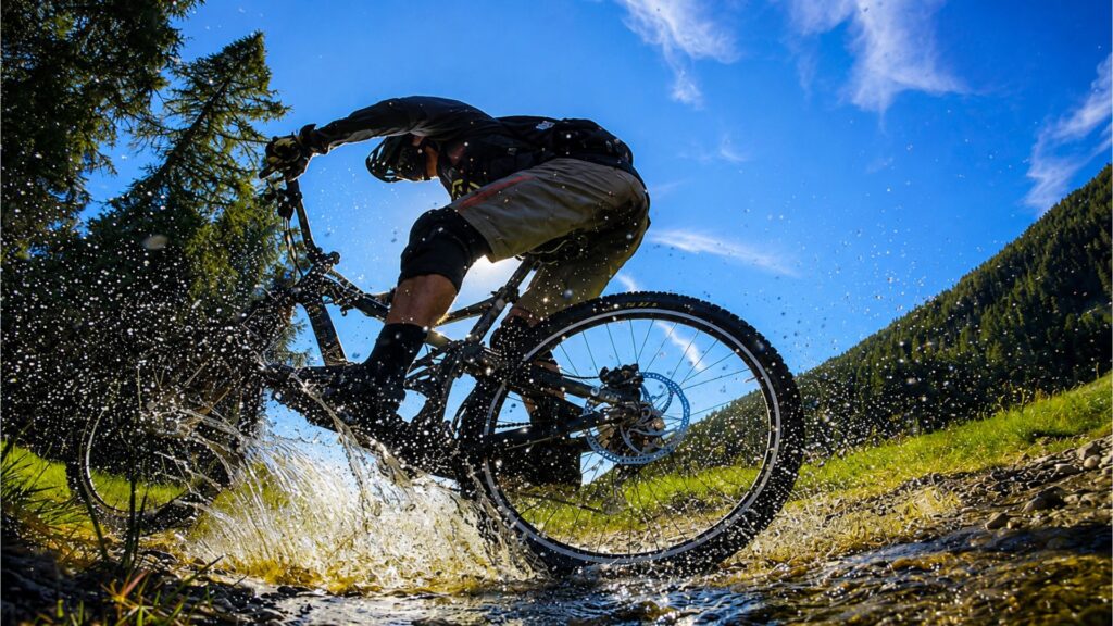 mountain bike ponte di legno tonale mtb ebike tour guida bike hotel bikepark